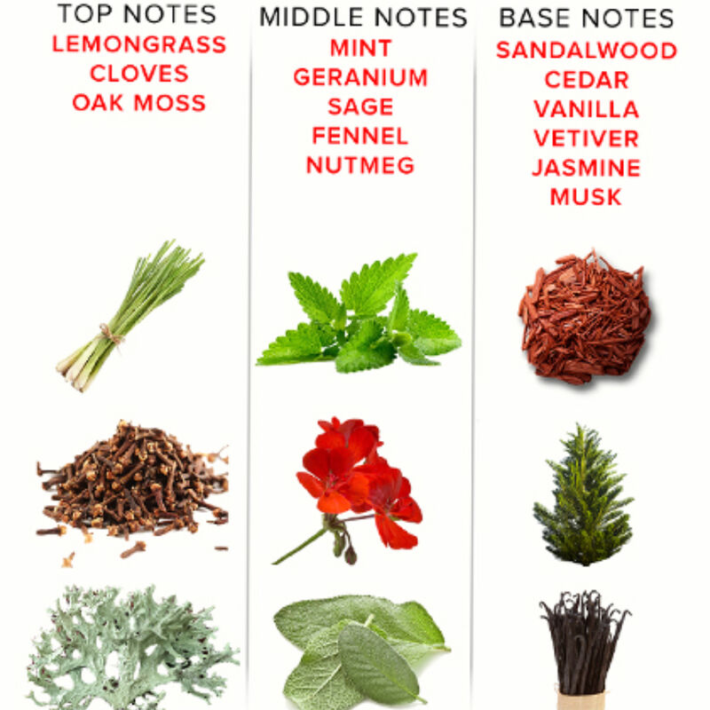 EYE OF LOVE - EOL PHEROMONE PARFUM 10 ML - ROMANTIC - immagine 4