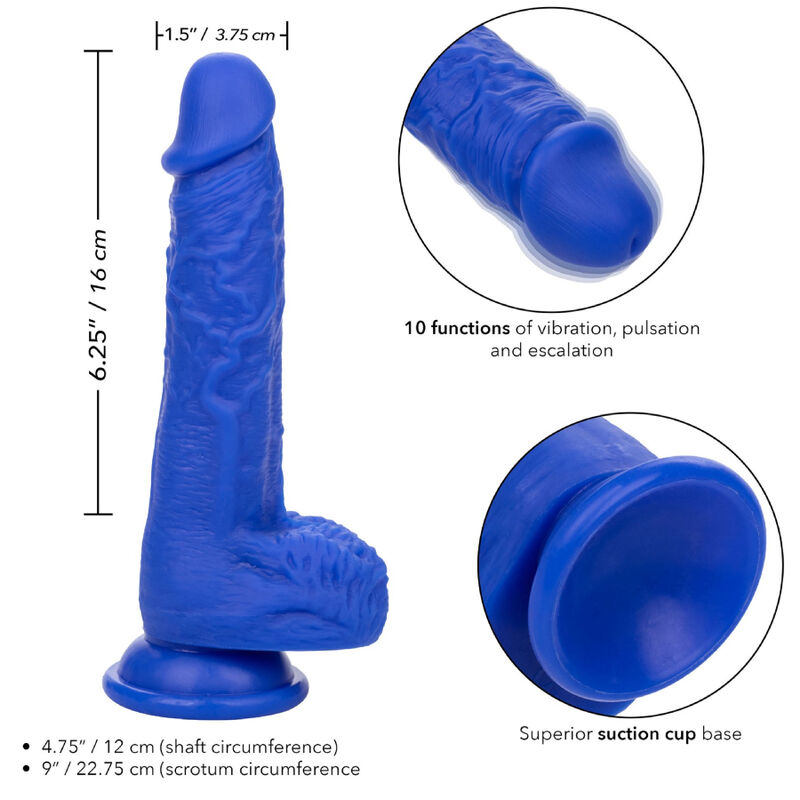 CALEXOTICS - ADMIRAL VIBRATORE DILDO REALISTICO SAILOR BLU - immagine 4