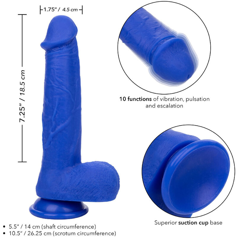 CALEXOTICS - ADMIRAL VIBRATORE DILDO REALISTICO DEL CAPITANO BLU - immagine 4