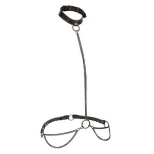 CALEXOTICS – EUPHORIA COLLARE A CATENA E GUINZAGLIO