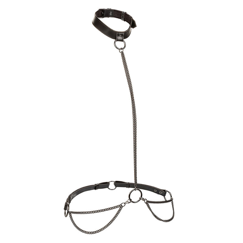 CALEXOTICS – EUPHORIA COLLARE A CATENA E GUINZAGLIO