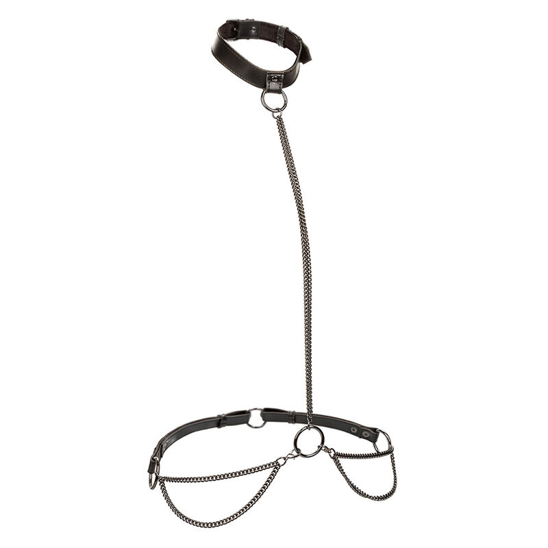 CALEXOTICS – EUPHORIA COLLARE A CATENA E GUINZAGLIO TAGLIA PIÙ GRANDE