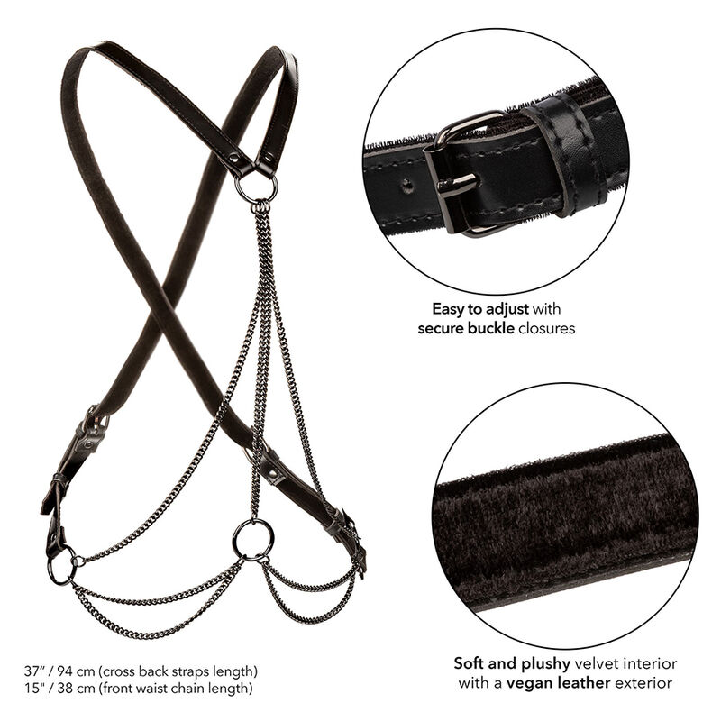 CALEXOTICS - EUPHORIA MULTICHAIN HARNESS PREMIUM - immagine 3