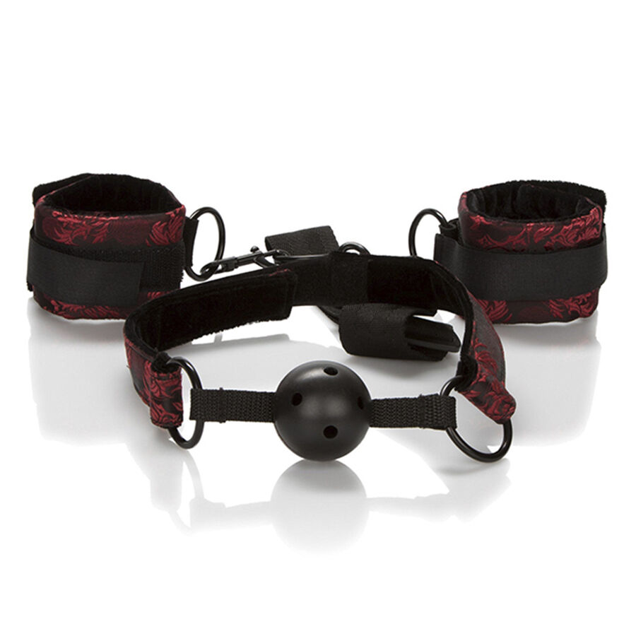 CALEXOTICS – SCANDAL BALL GAG TRASPIRANTE CON MANETTE