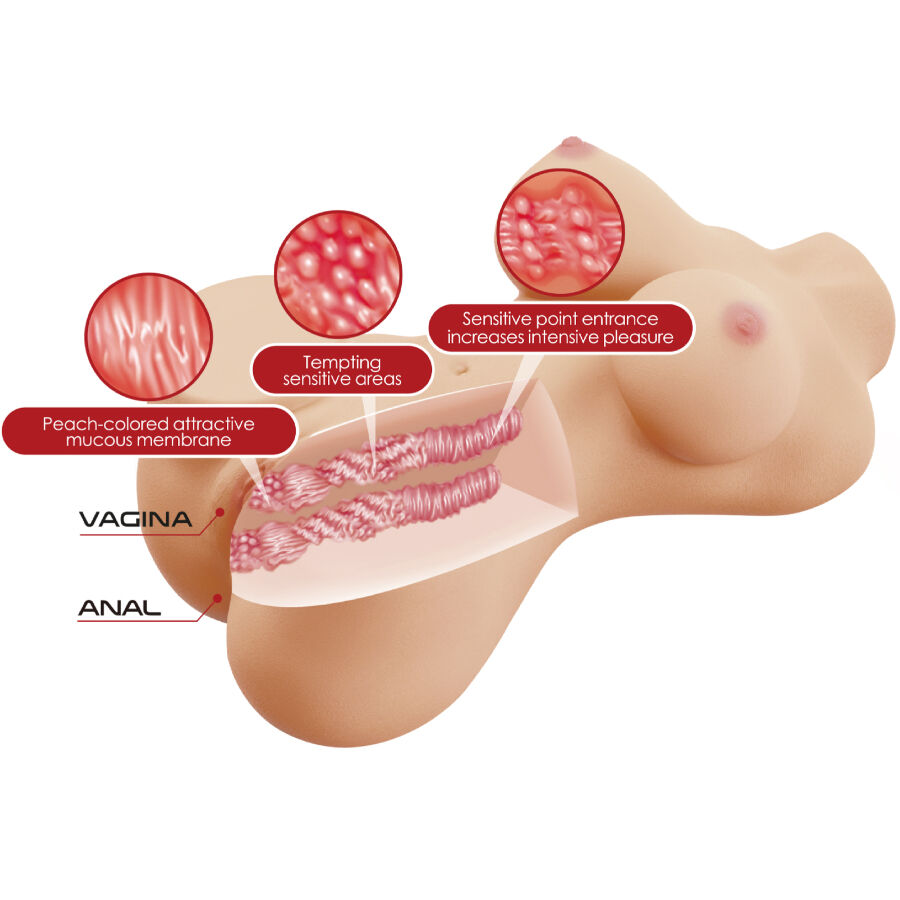 CRAZY BULL - HETTY TORSO FEMMINILE REALISTICO VAGINA E ANALE 1,9 KG - immagine 5