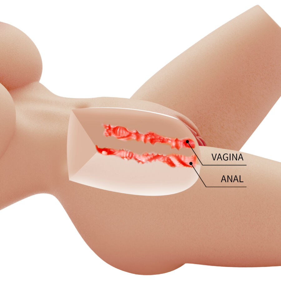 CRAZY BULL - LILY TORSO FEMMINILE REALISTICO VAGINA E ANALE 4 KG - immagine 5