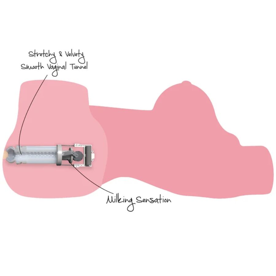 DESIDERIO NASCOSTO - MASTURBATORE FEMMINILE MEGA TROIA CON TORSO DA 22 KG - immagine 4