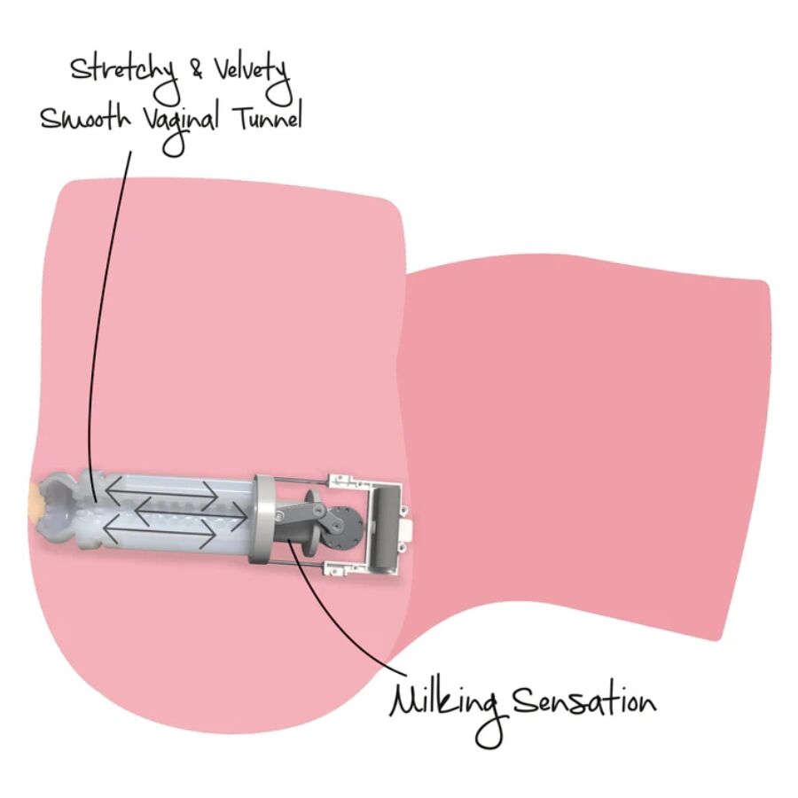 DESIDERIO NASCOSTO - MASTURBATORE FEMMINILE CON GRANDE CULO DA MUNGITURA 16 KG - immagine 4