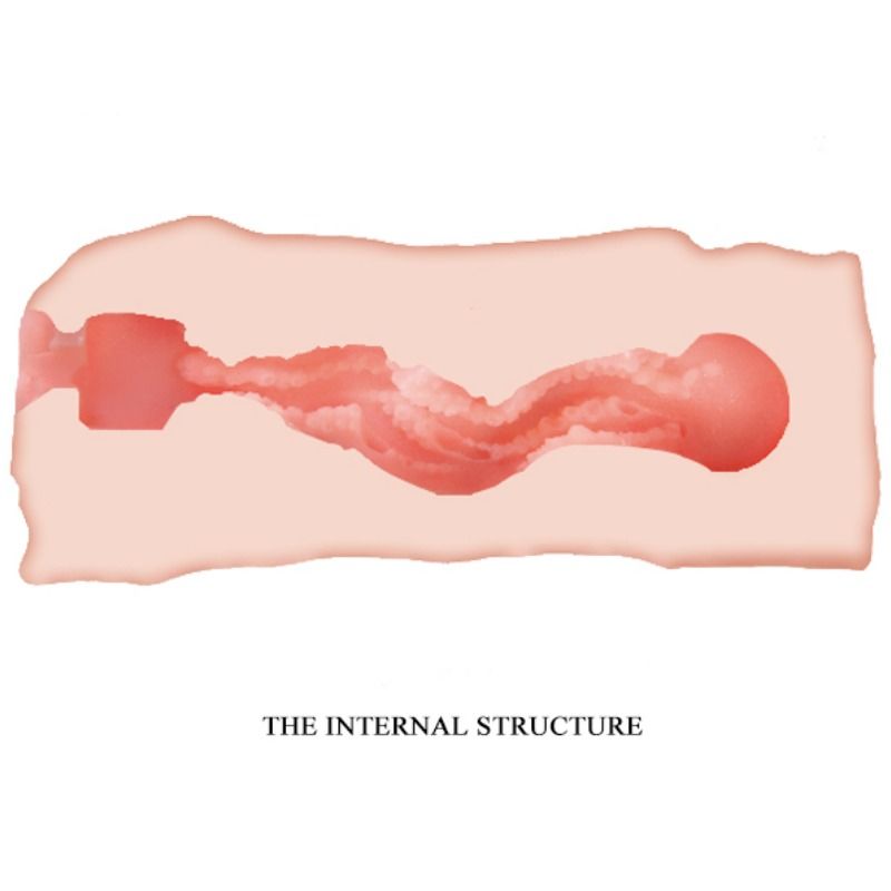 CRAZY BULL - MASTURBATORE VAGINA JANE 13.5 CM - immagine 3