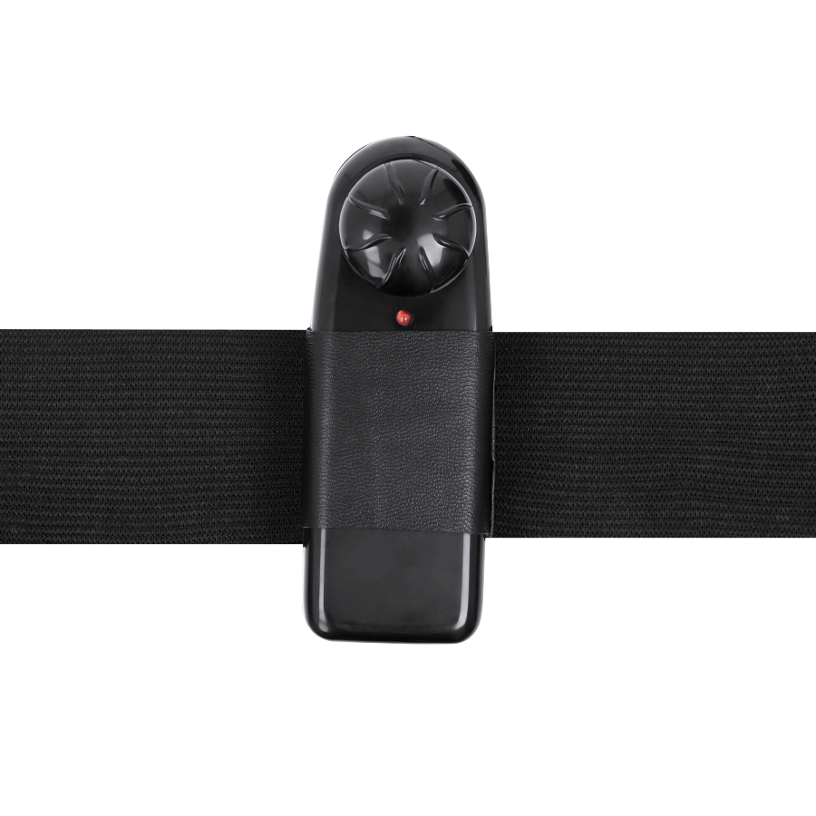 HARNESS ATTRACTION - GREGORY HOLLOW RNES CON VIBRATORE 16.5 CM -O- 4.3 CM - immagine 2